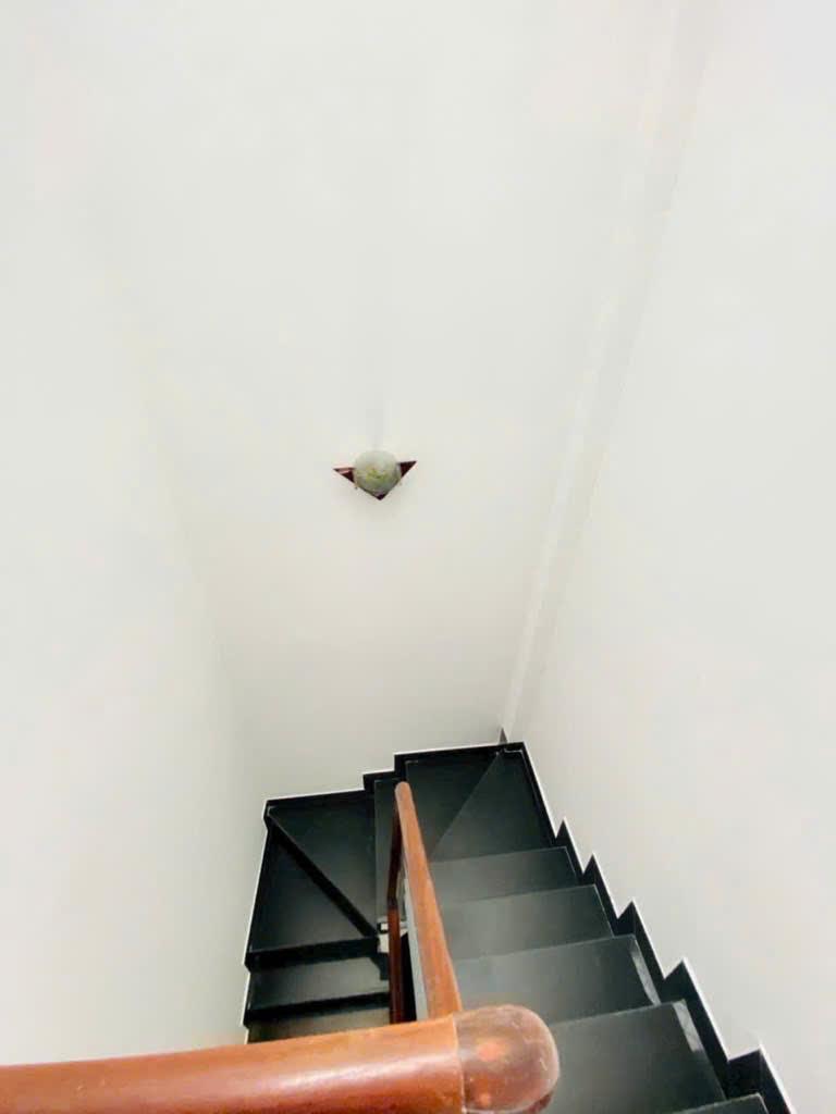 z7177646093821_232e3818e8958365755bbc0a50b8df42