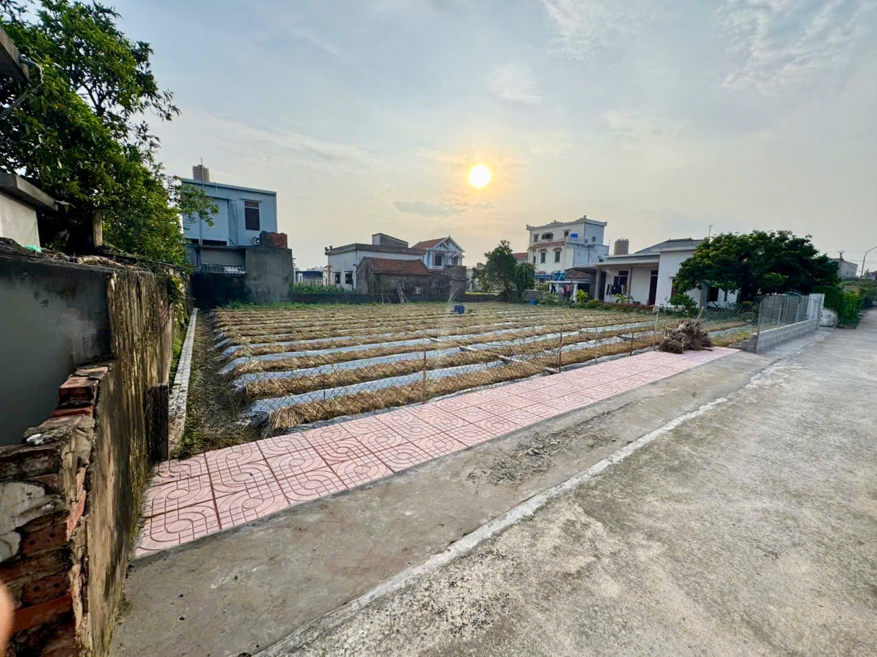 z7177782369003_d4ebfd1b9cd0f06beb323d80b155eefd