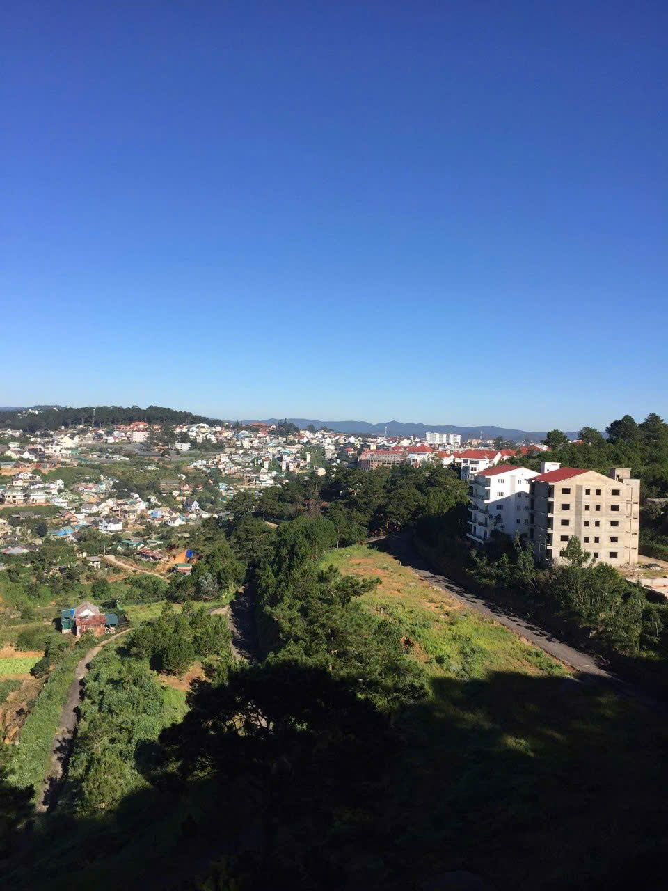 z7177965755405_54cac6bf8bae59338241975518a0b8e2