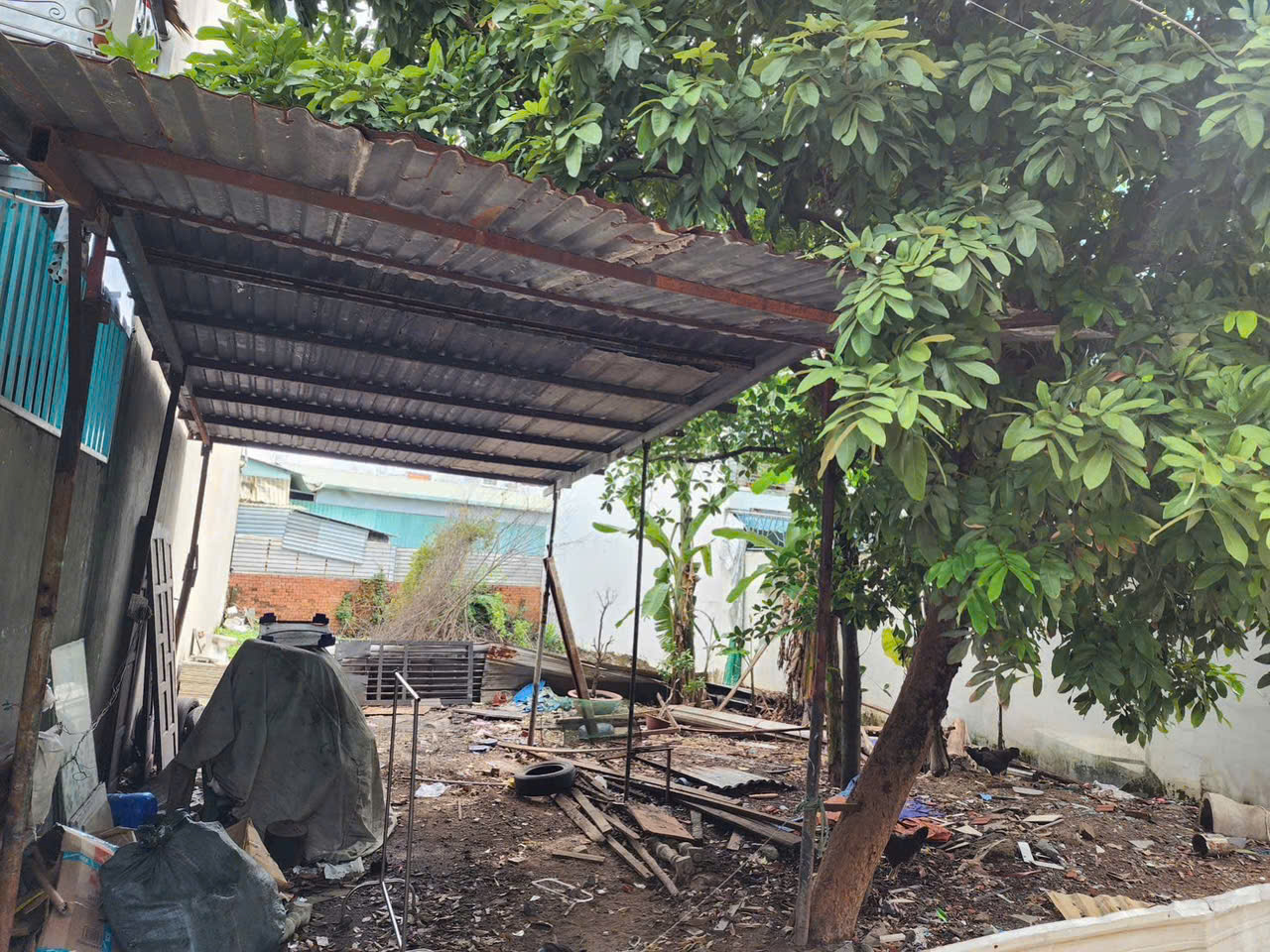 z7180149537287_cd555fb50beb08fd5ced56def3d7472e