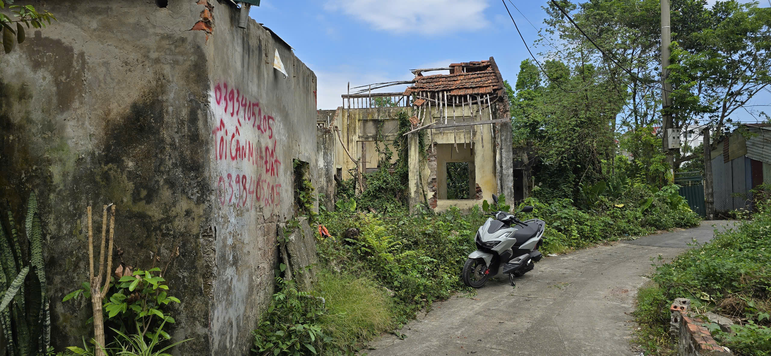 z7182683764281_c3b6ce38eeae44a82fdd1bea397968ef