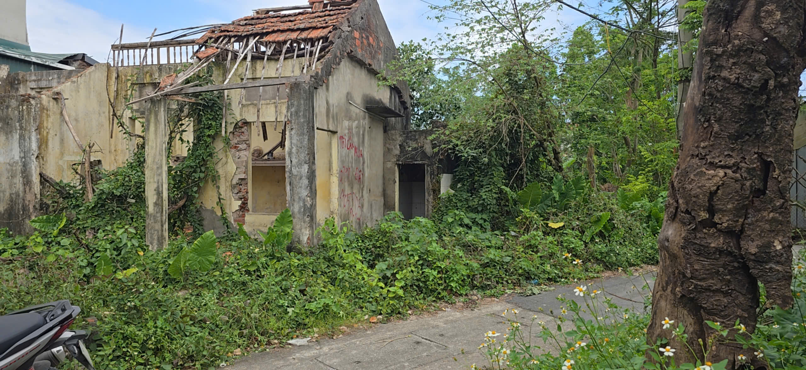 z7182683764770_11f339171c7c719856e8e4995150d458