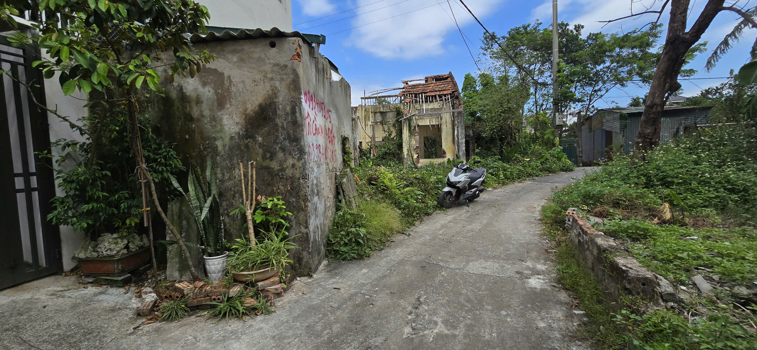 z7182683765312_de41b29e513591d2fa5ff6e88ea032be