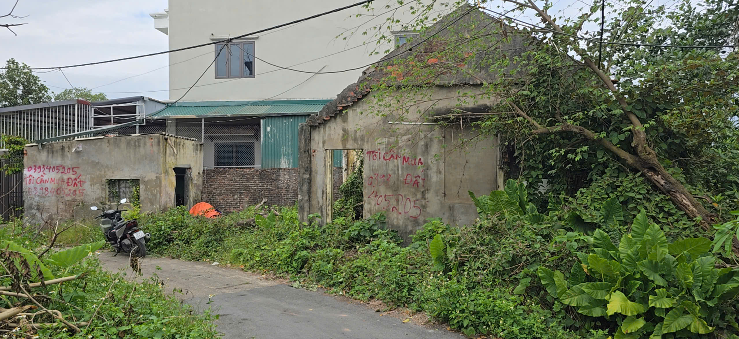 z7182683765341_d2bd796f8b20834c31be39b526f780bf