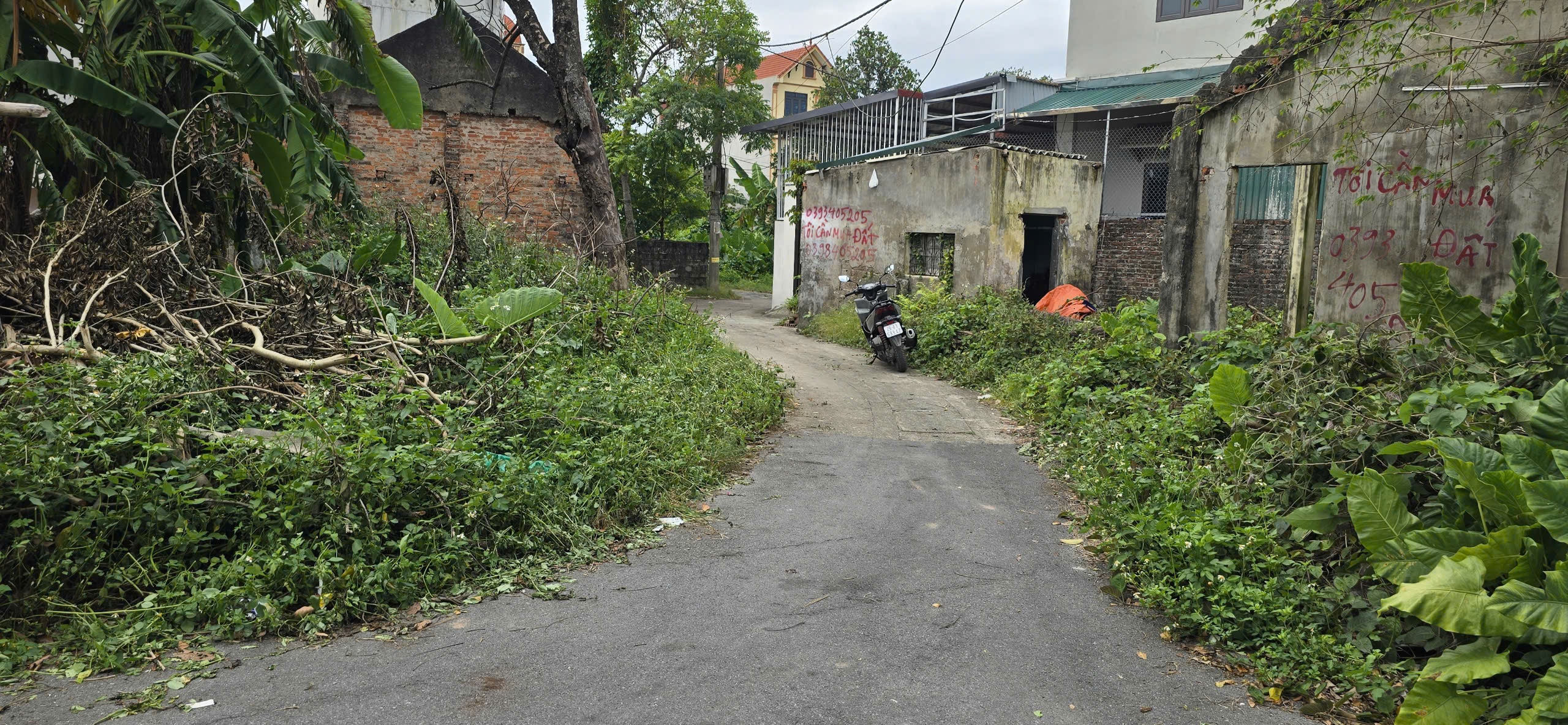 z7182683765721_ff711f4b9fe7abe53ba6a05fd8505b0f