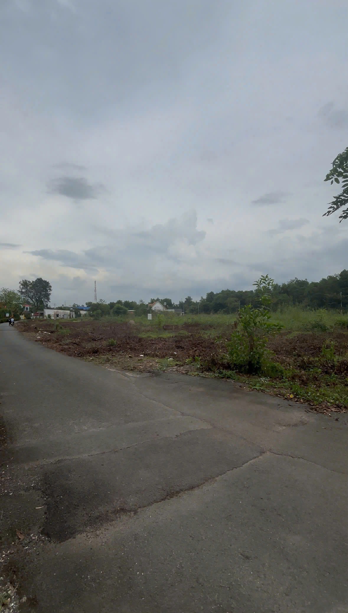 z7183174389199_15e80ed4419b8c84f56bb9e10b9b3c17