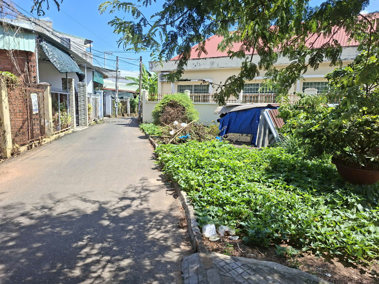 z7184192312958_bf1ffaf6739295a40204aa91fef9afd5