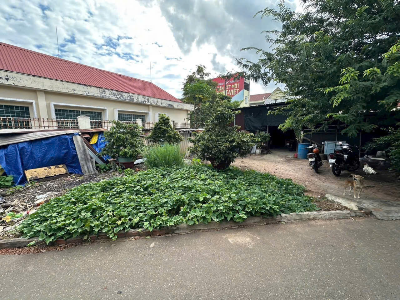 z7184192335820_5de3494fc9a0caf12341e9c2144ccd41