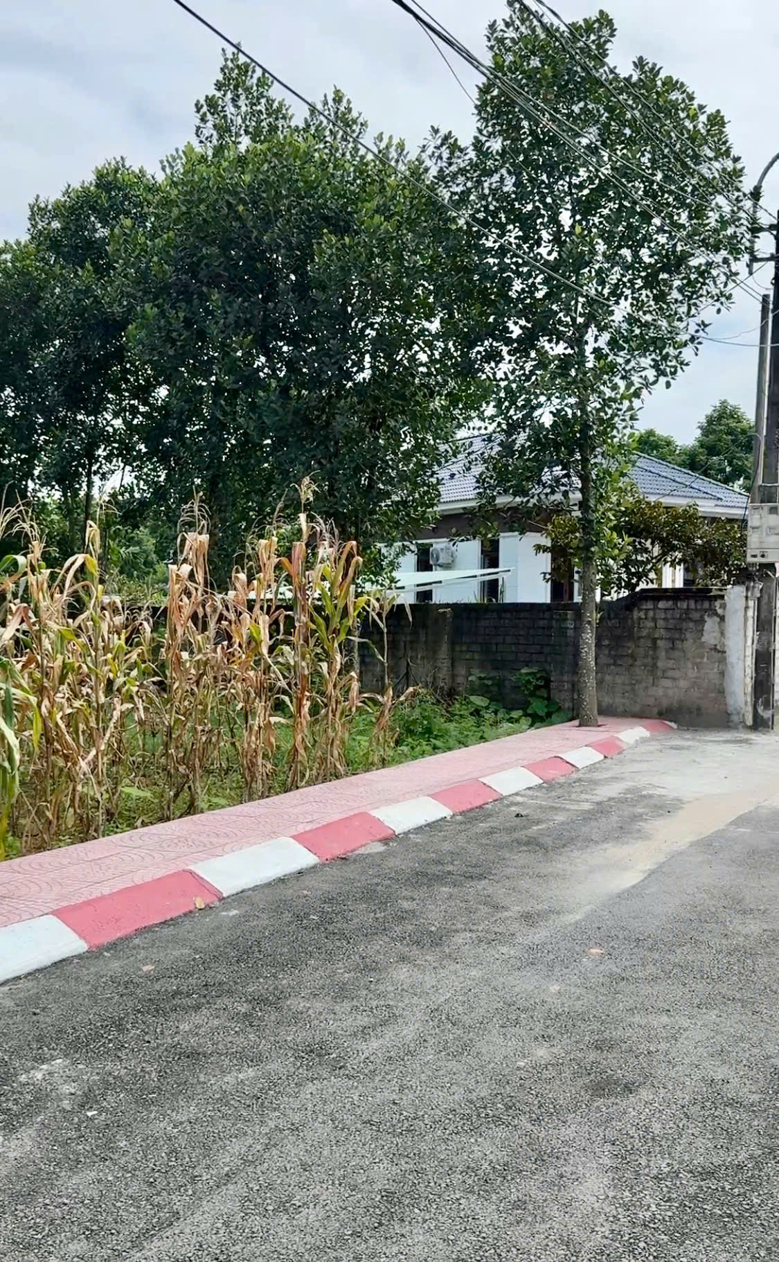 z7184277335567_d9ed3b83724dd17238df427c668fed9e