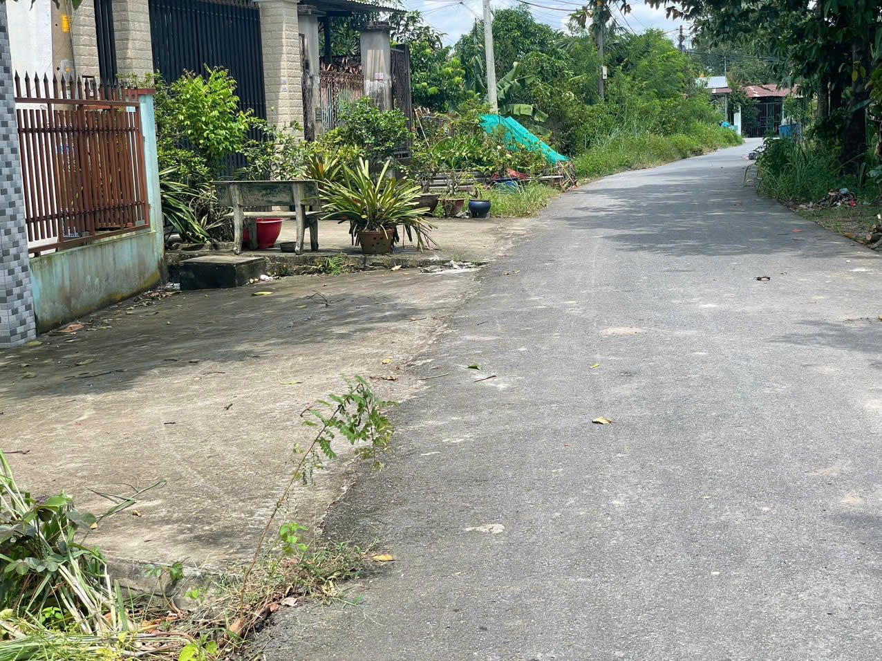 z7184409862604_ed650a116b83dcda11cedadd03094281