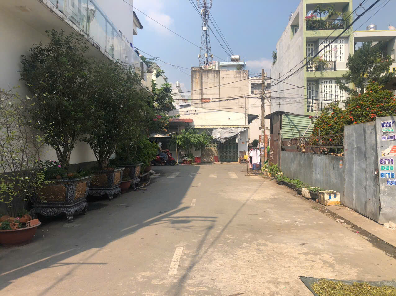 z7184567685947_08b8bc482e929d1599f318f7e9b11714