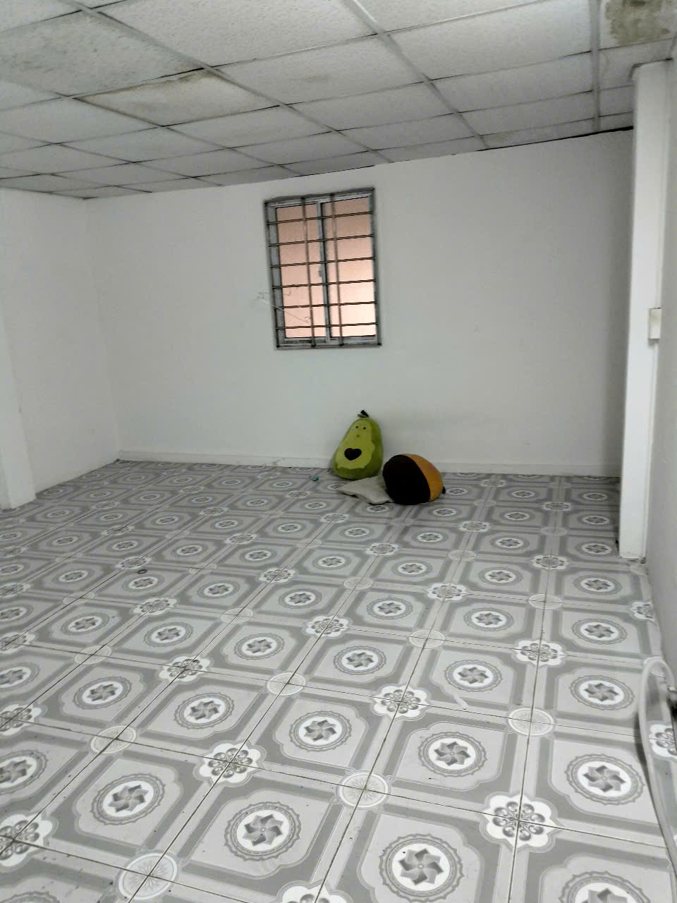 z7184568359093_7c3f2f694605b028ee15417a74eaab98