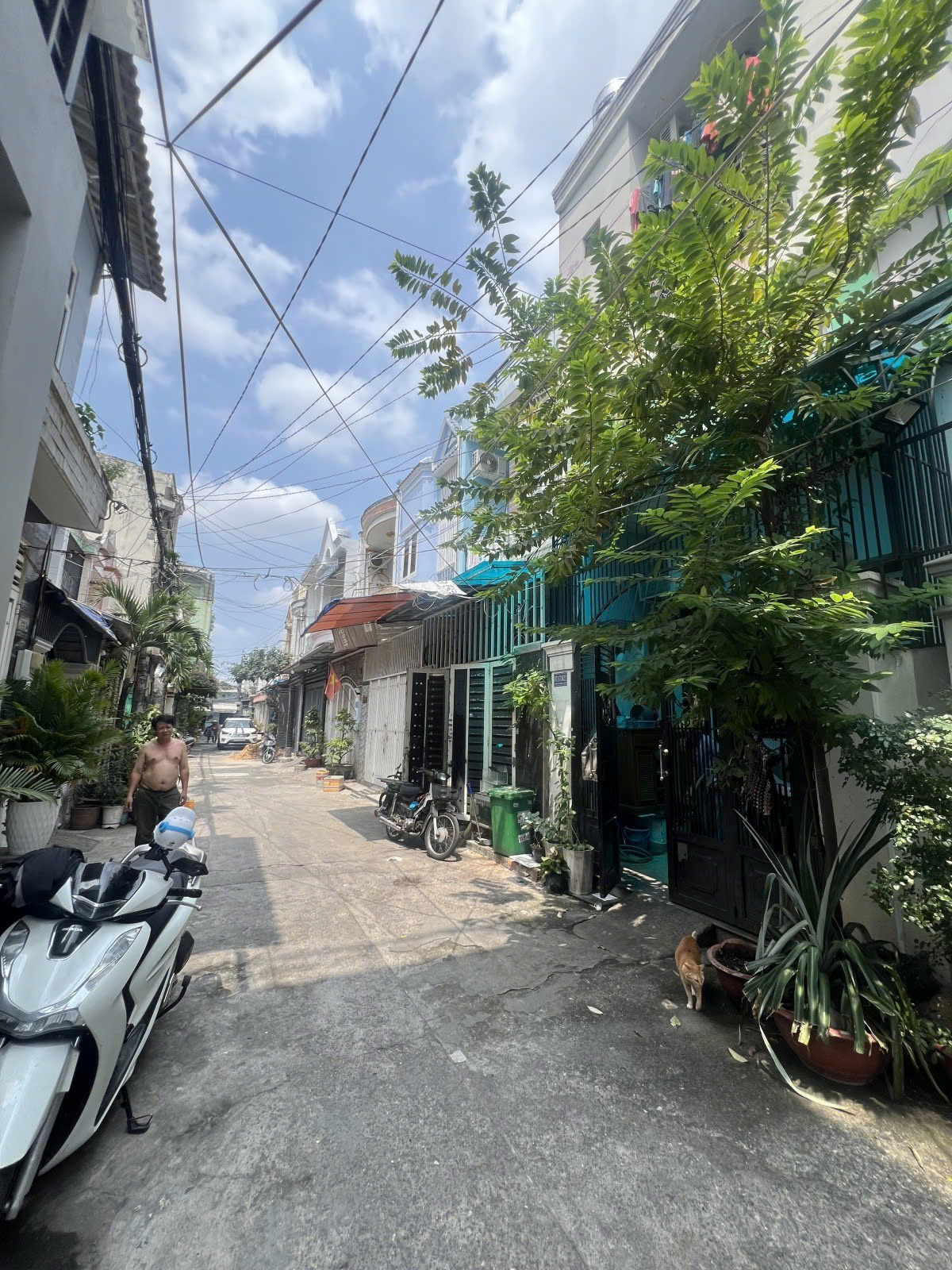 z7184906197664_4fb5cf646bf87a5f2cd90b35ec296638