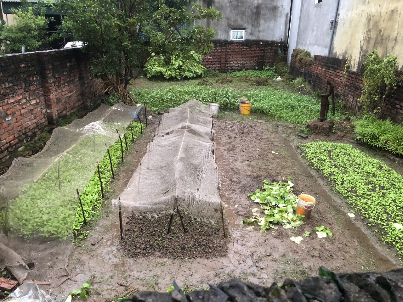 z7185020071245_9efc840eb4a4f69ef19ed127256bfce4