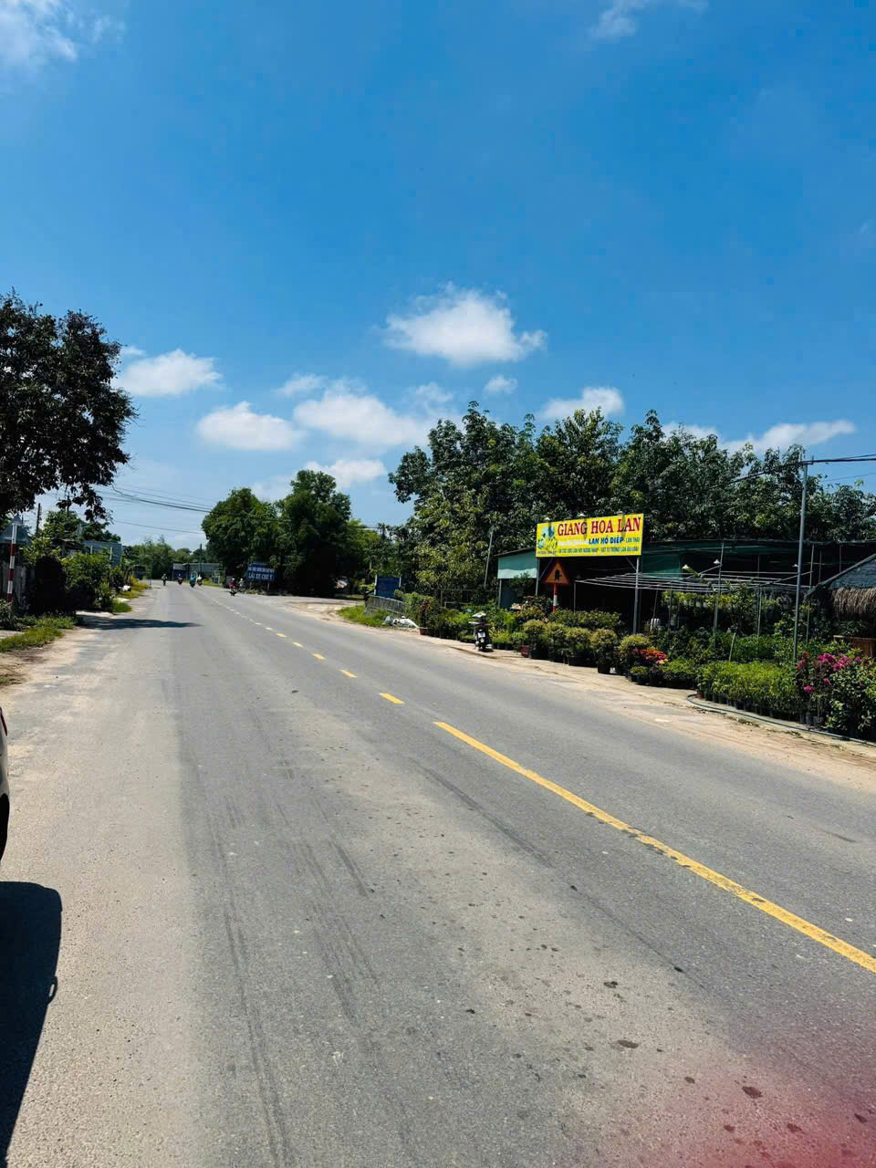 z7185312239540_abe4f5bf54b15b938fe2770a82fa3158