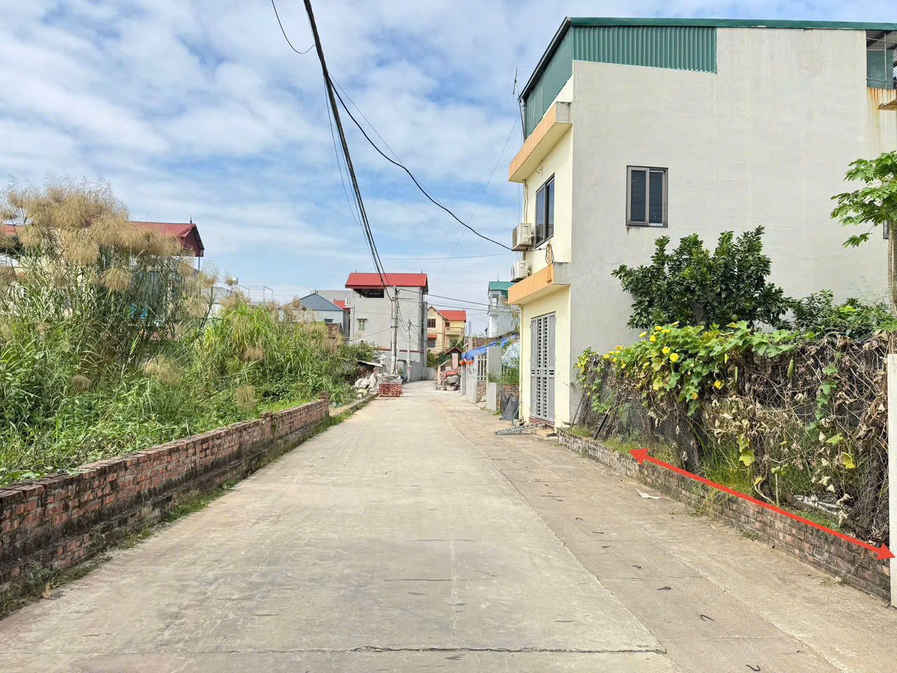 z7185631628003_1c0892277ad1f6f15313fe1d01568979