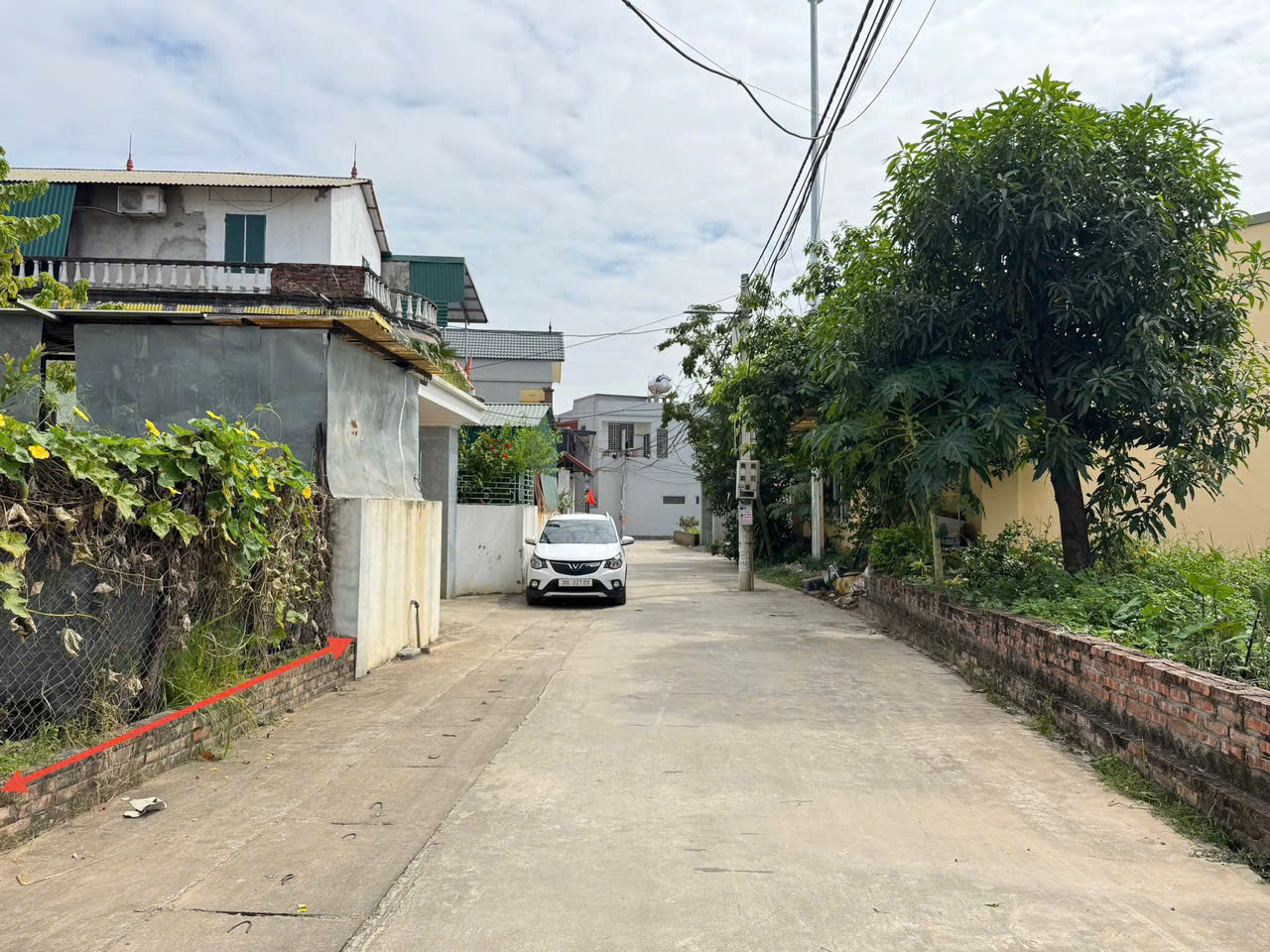 z7185631634328_7336c04ffc314251323a70a2e0ef2366