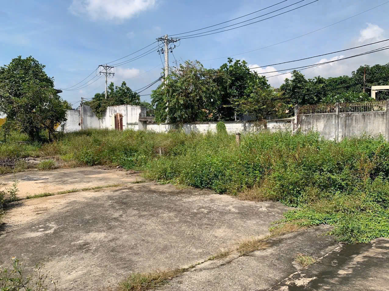 z7186757096180_1a3adf8768ceb03151960972363b1754