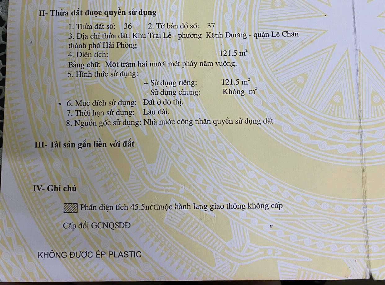 z7186775429156_4cdfb3b5b02845cb87a8a95a6761d983