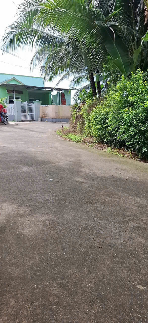 z7187553992062_3e35814b4a3e7e4b542dd21c7b66c3f9