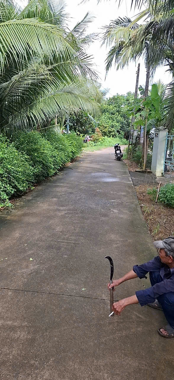 z7187553996498_8cf1988eb44cf3630ad8e32aa0aaed3d