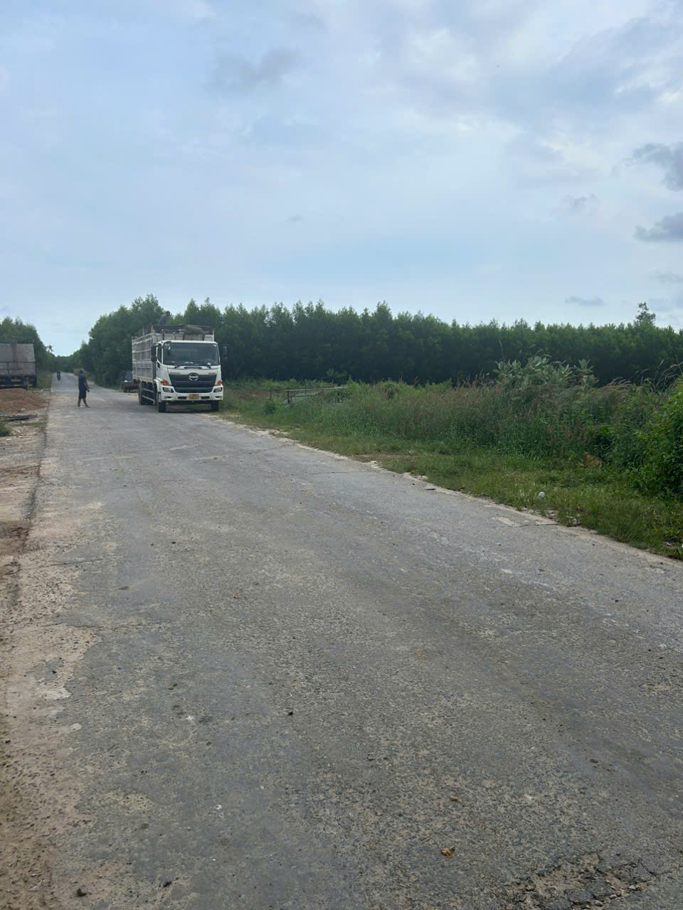 z7188166189101_ab66e893fdb3fcc986e0a32654d13b56