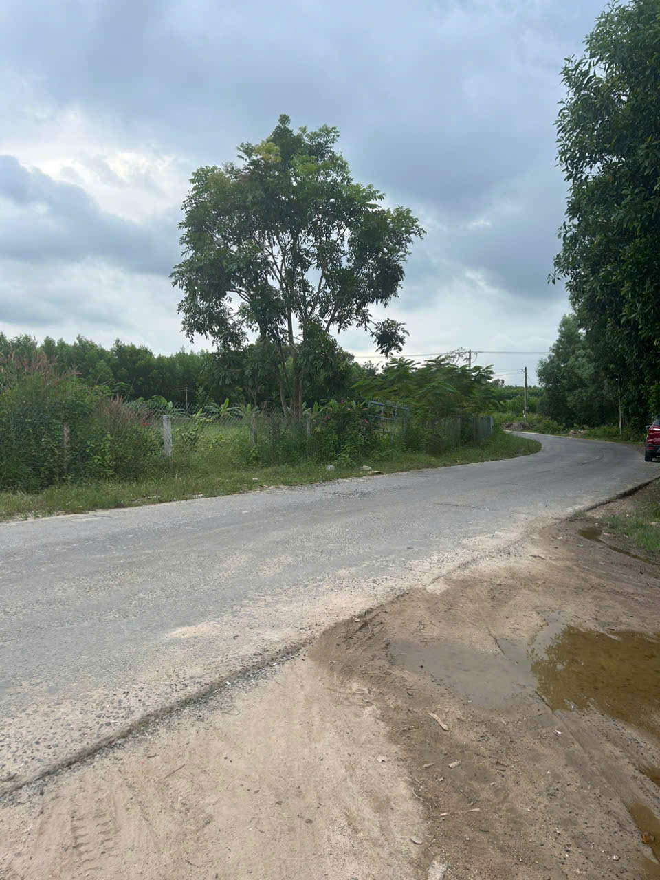 z7188166203381_065acdd0101048fd109a1f532b827b9e