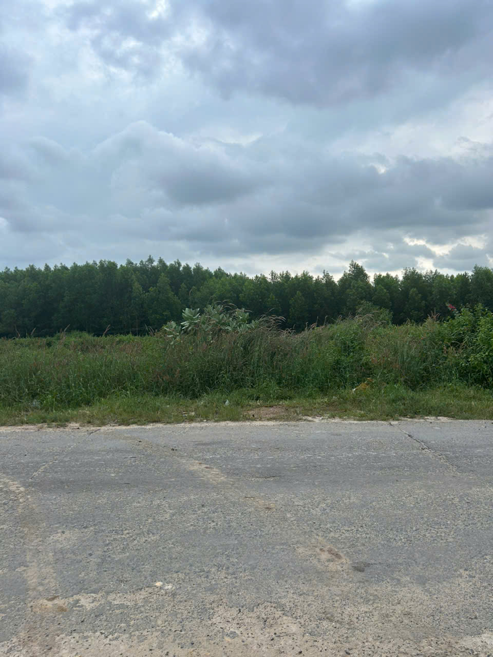 z7188166209583_fd835bae61043d8b7f9fbadf148e655b