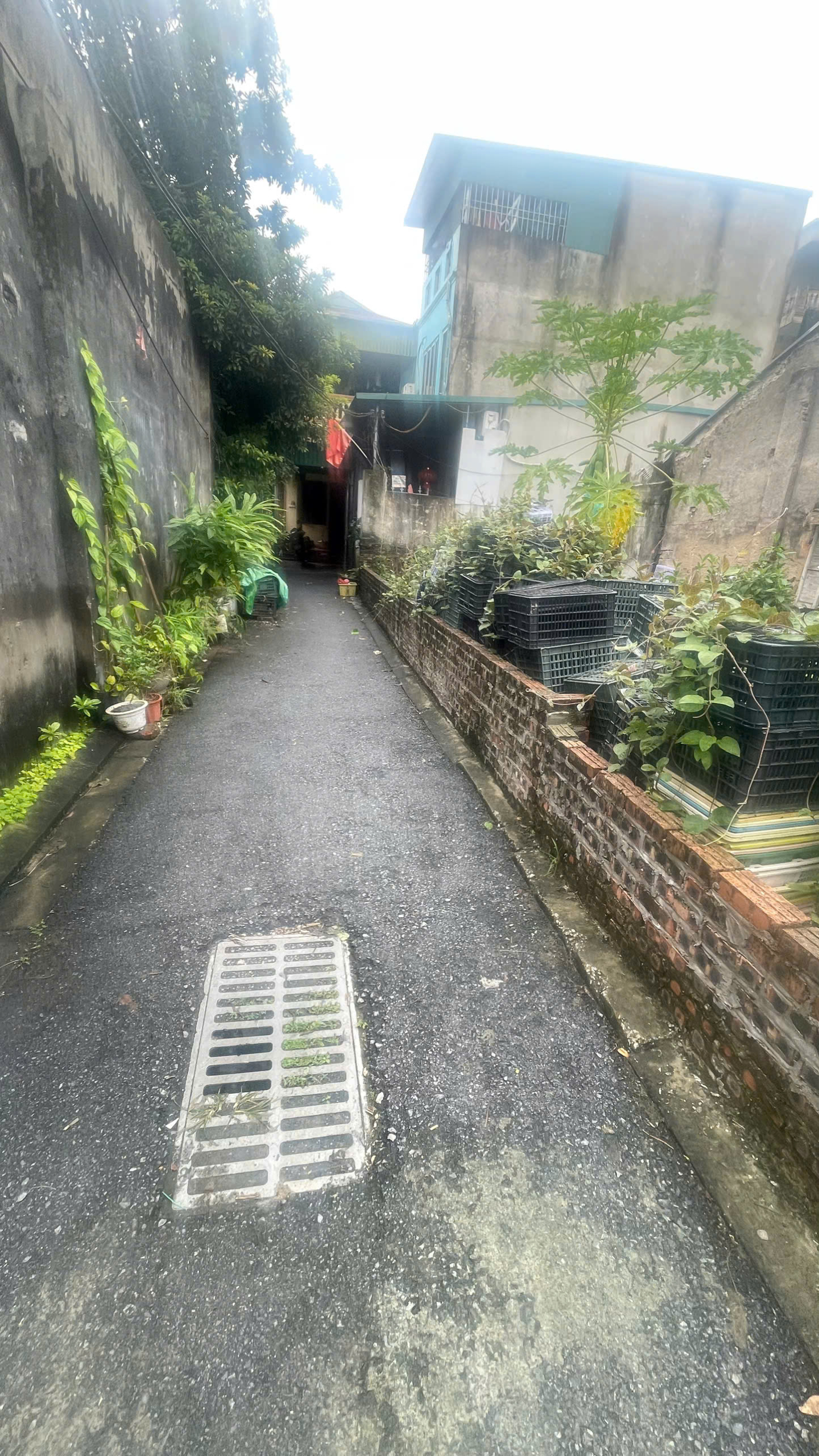 z7188174509046_3137c99013c20fd93c6975bd9179d84b