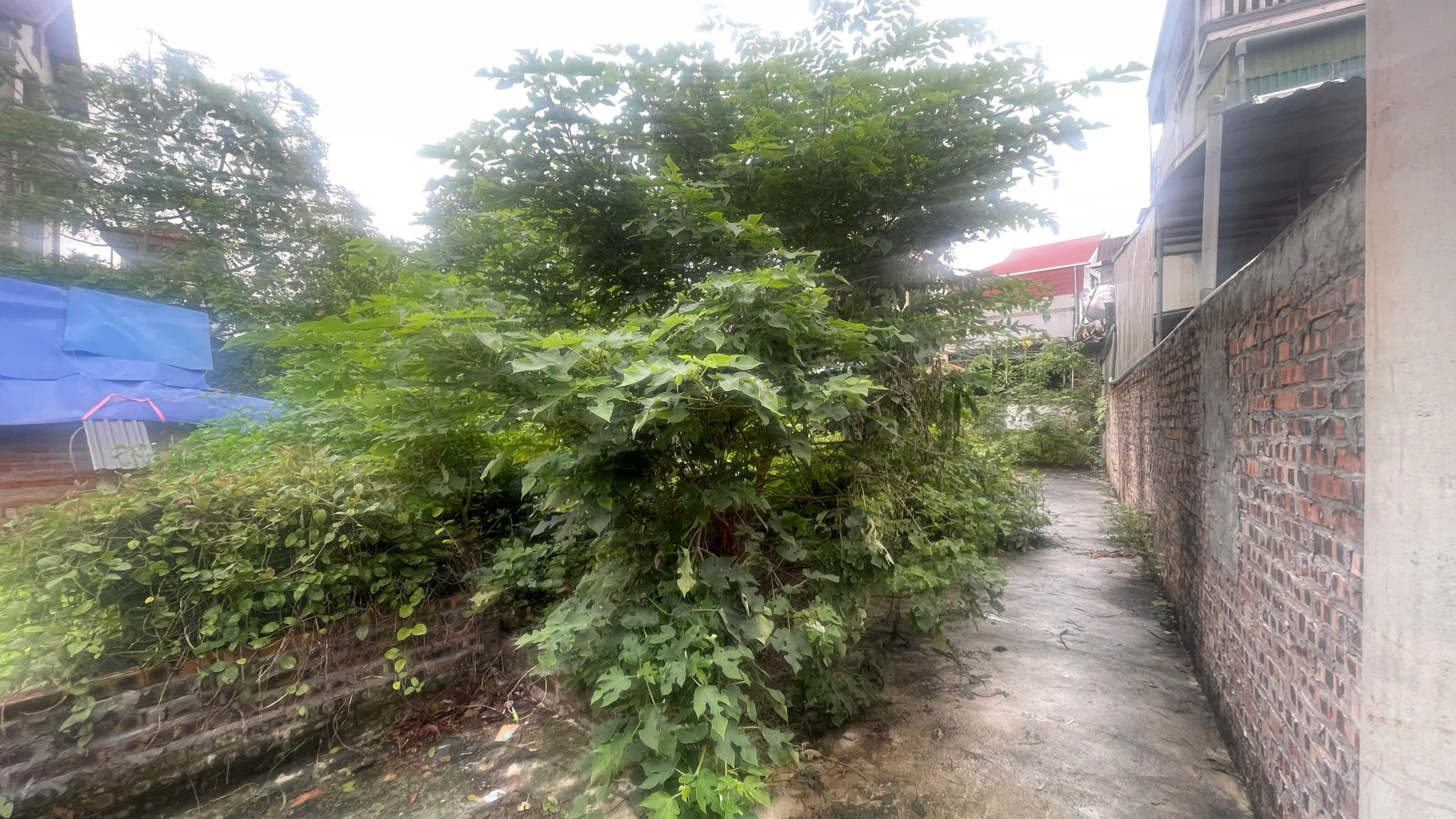 z7188174521930_dffaaf46708b0d3d8d3ef3552f3ad0f5