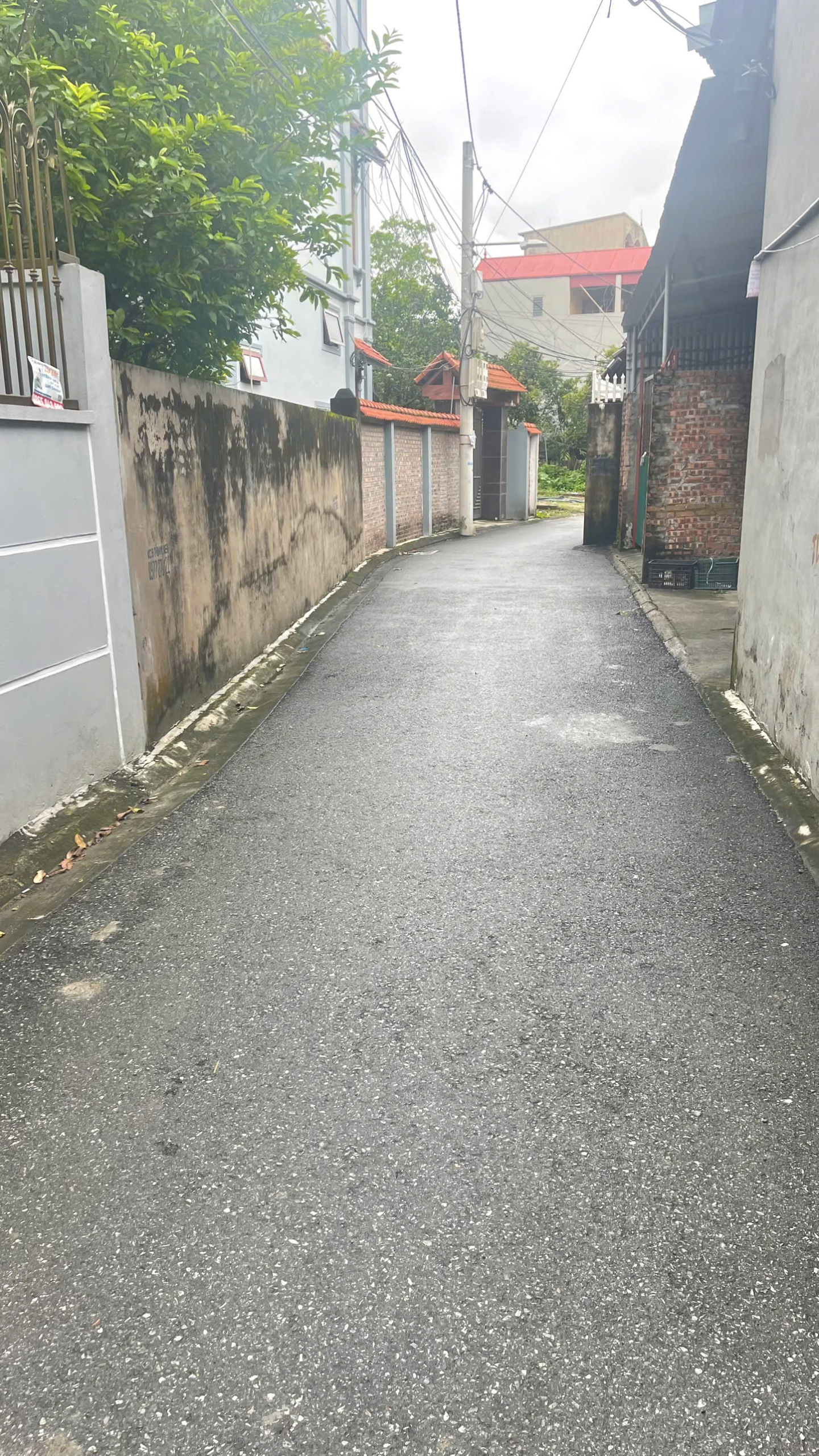 z7188174533729_ea6ac2014c601cdcbbacfa405dbf81c4