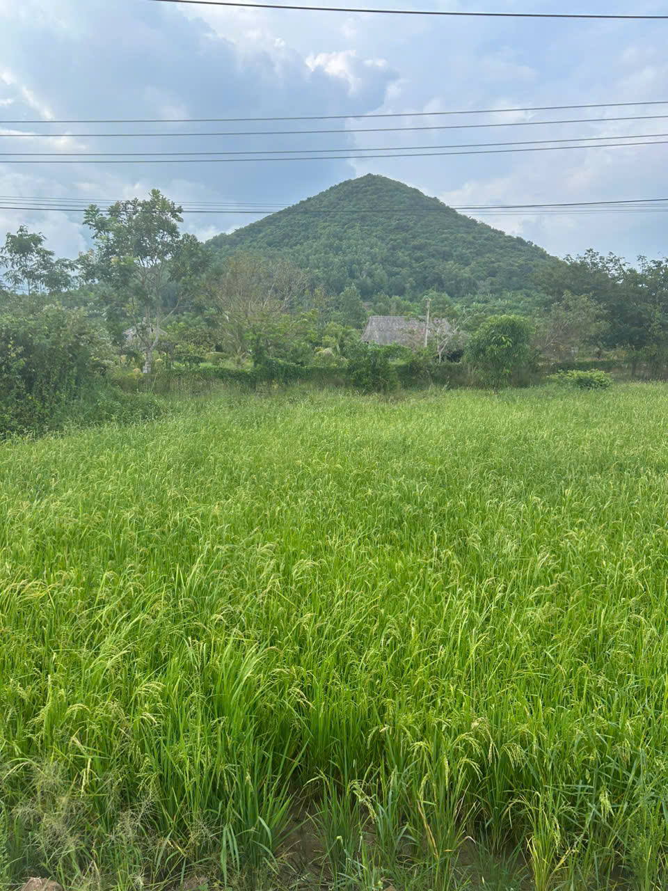 z7188189336655_e3c8764b39132ad0195ea8adef20c56d