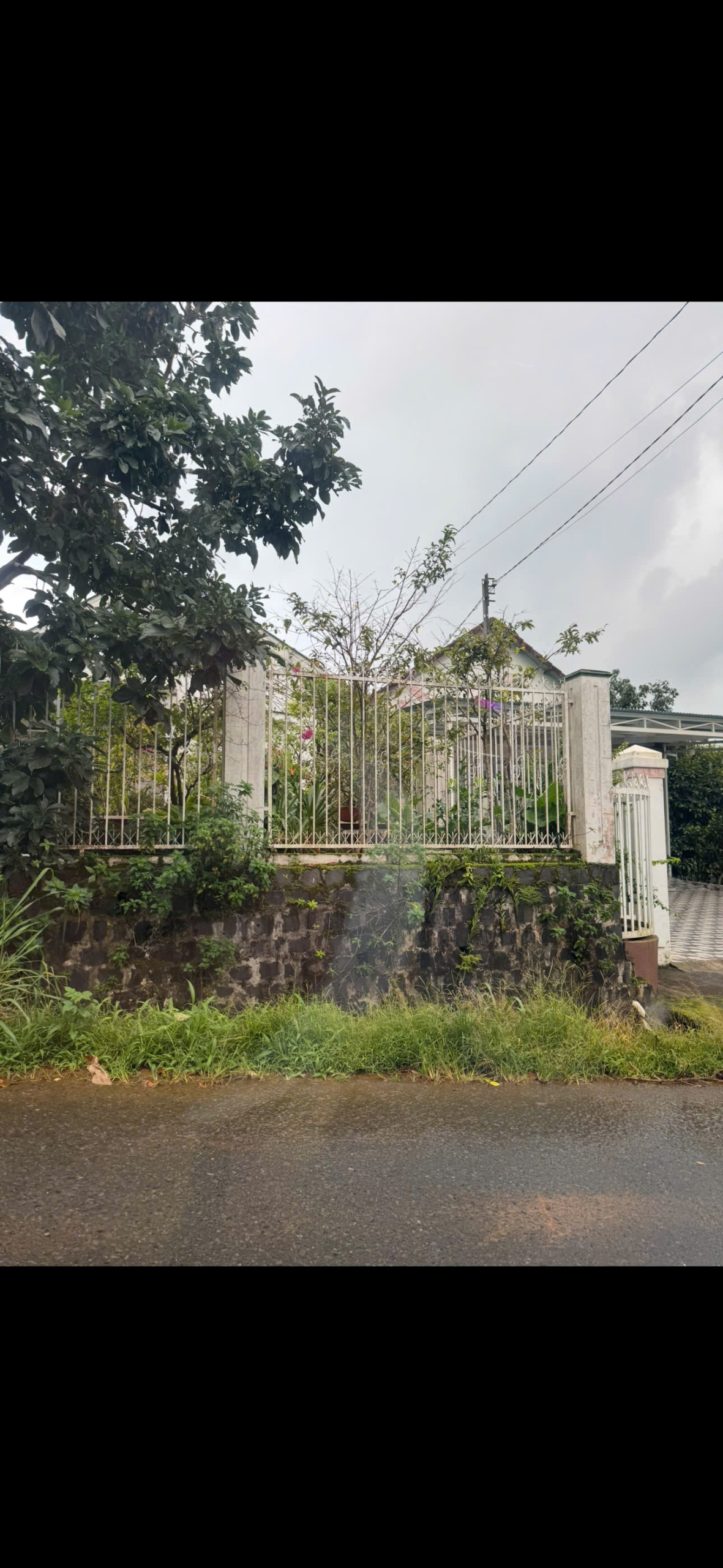 z7190683942460_68b0d39ec1be674d98ec49c2d4f0b9d8