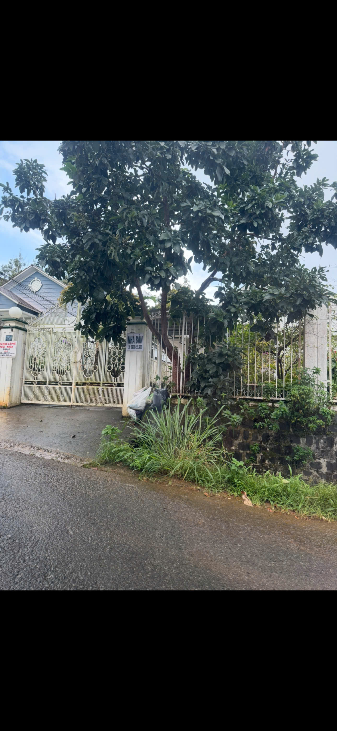 z7190683942465_c6b98616a139bc0bcb40c700244c5714