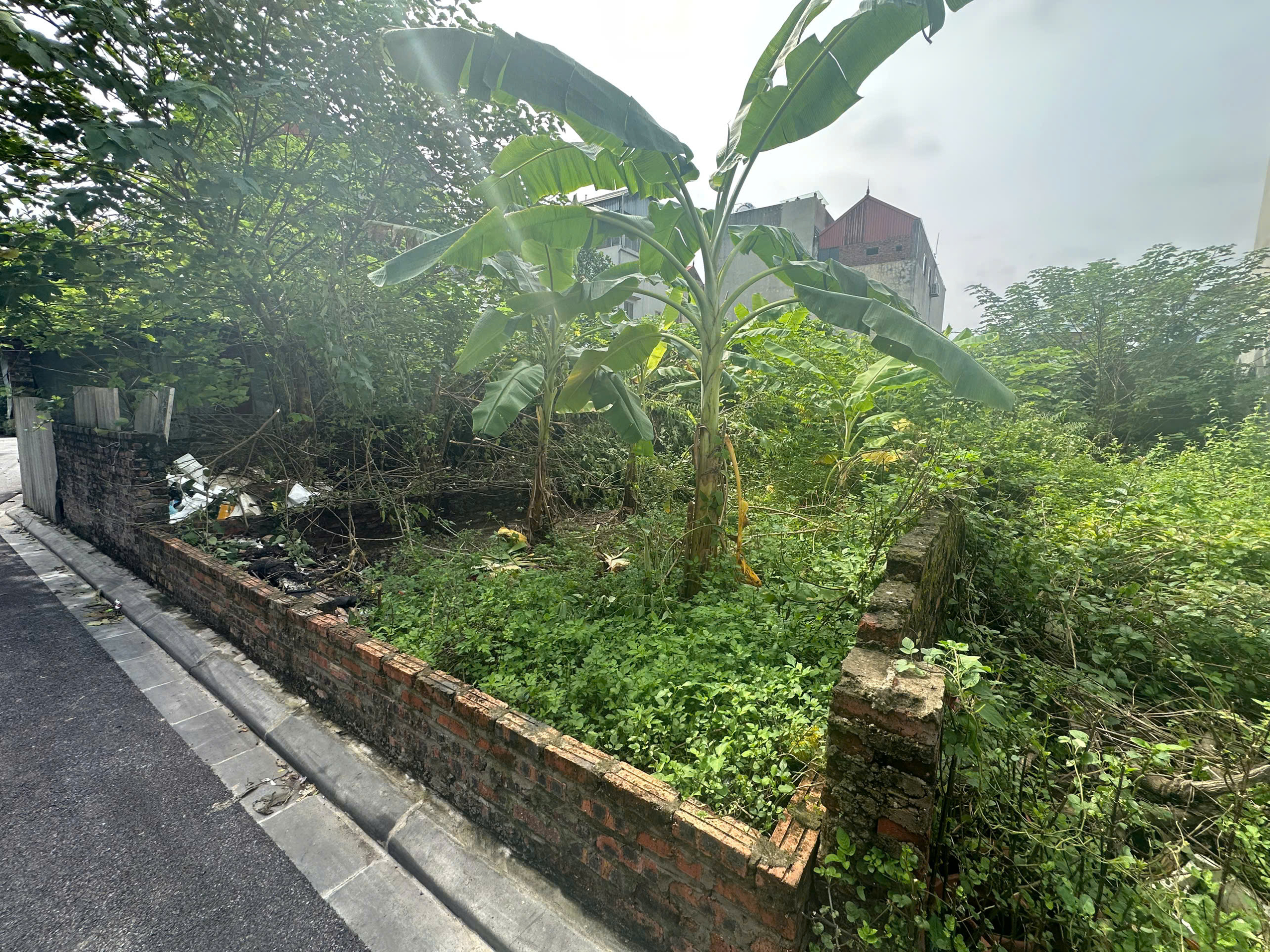 z7190895543185_42258b49720d925ba3afbd0b2c4a5f5b