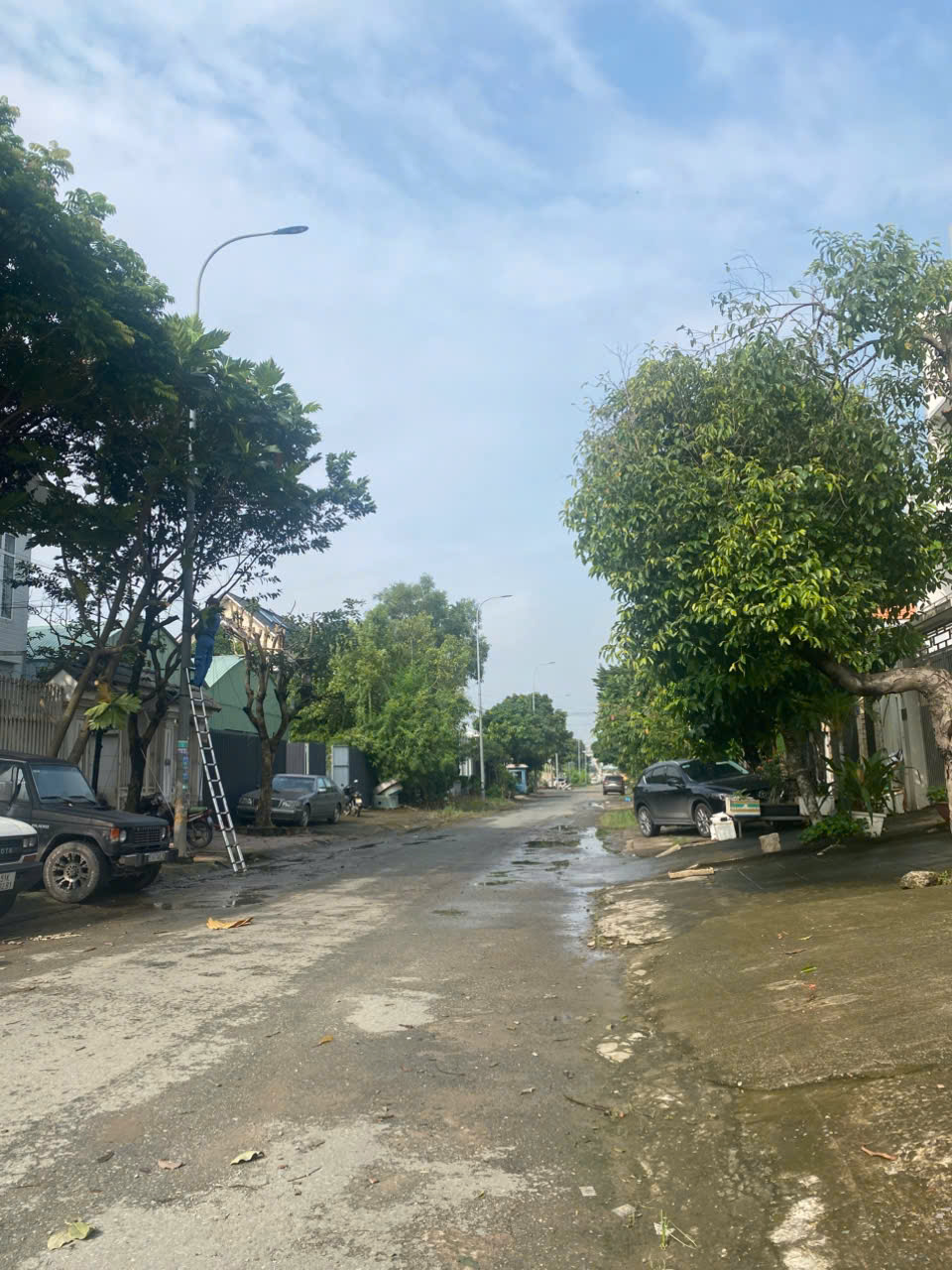 z7191072831431_ece8b75e52279ea1767fe41db8bb85f9