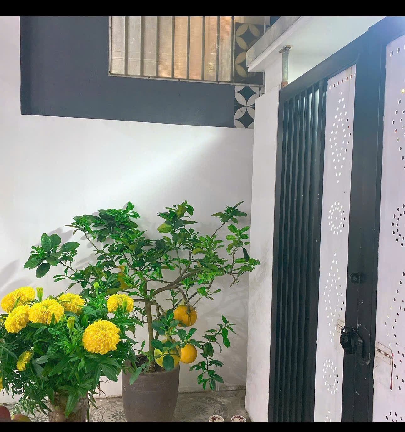 z7191637284335_21d15b306cd3d67298e9210954a61283