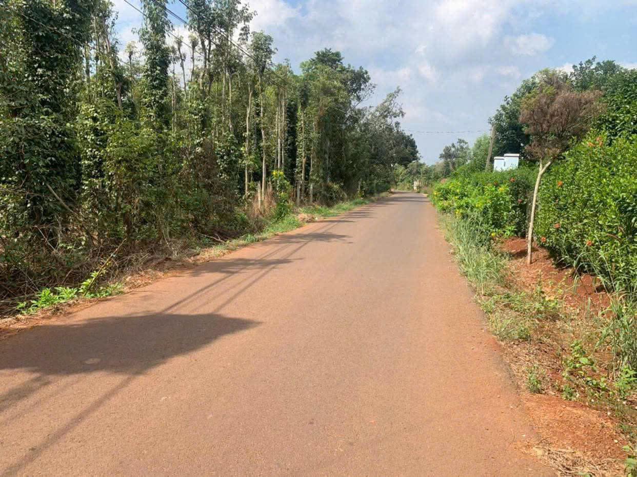 z7191699967838_163d1be2ea29c03be9aceca1da424835