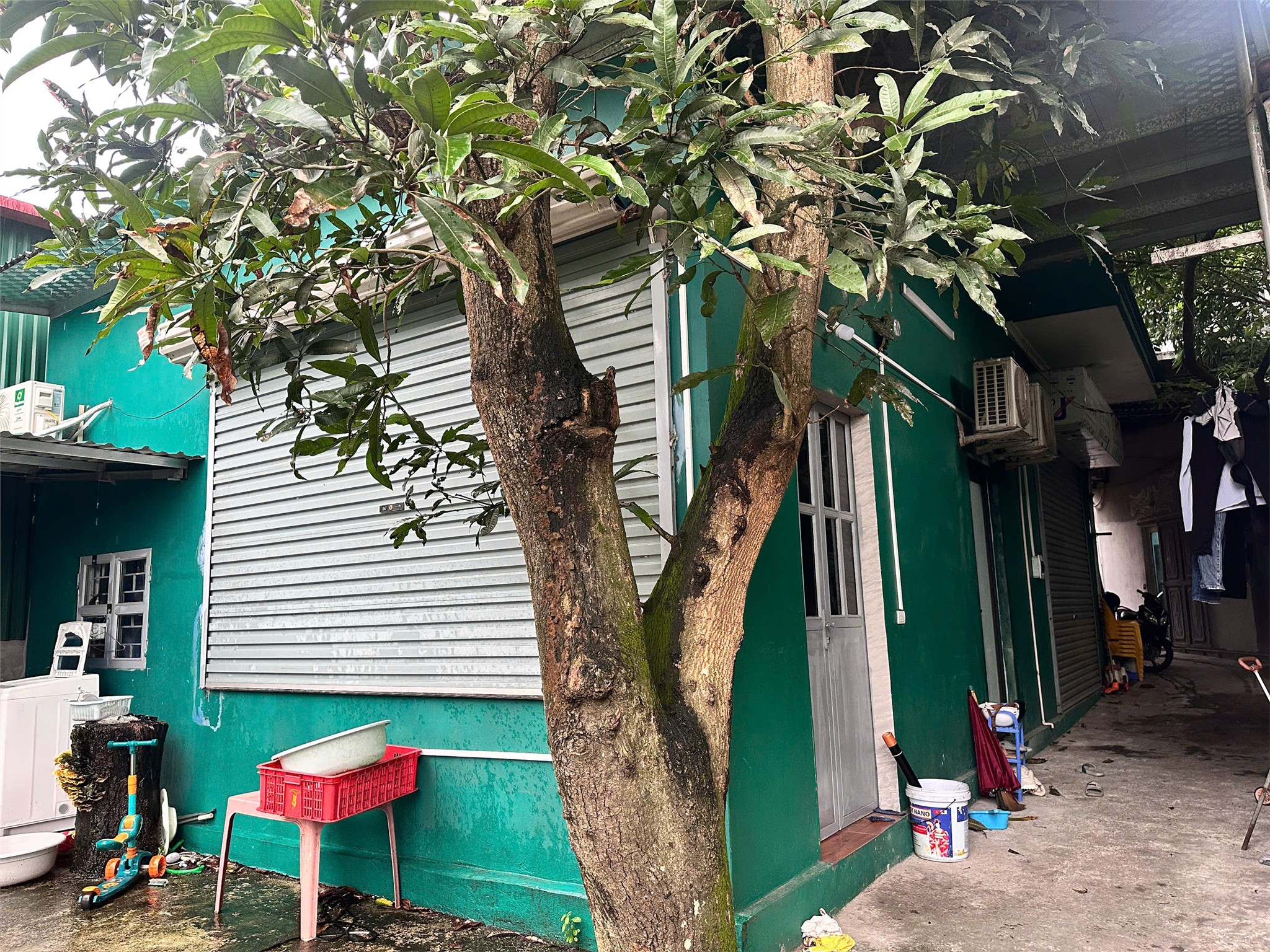 z7192665067668_90676afdf55f350206512786f42a2597