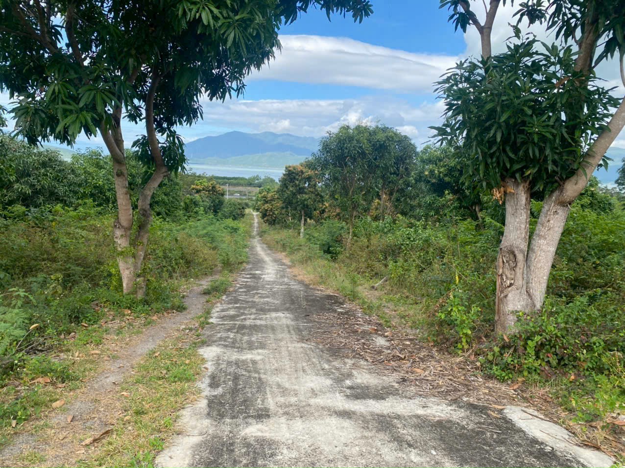 z7192894660913_a2f8c23421e92d2259597f844b54a22d