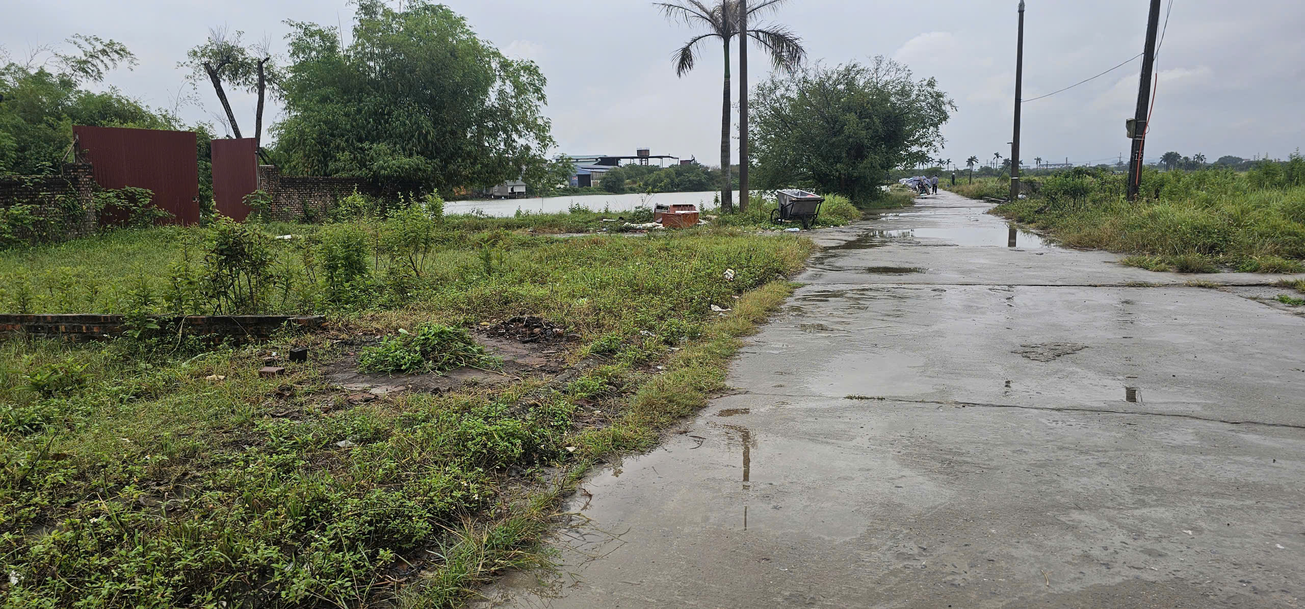 z7194067252443_1192333073951266e09d074d5011cb5d