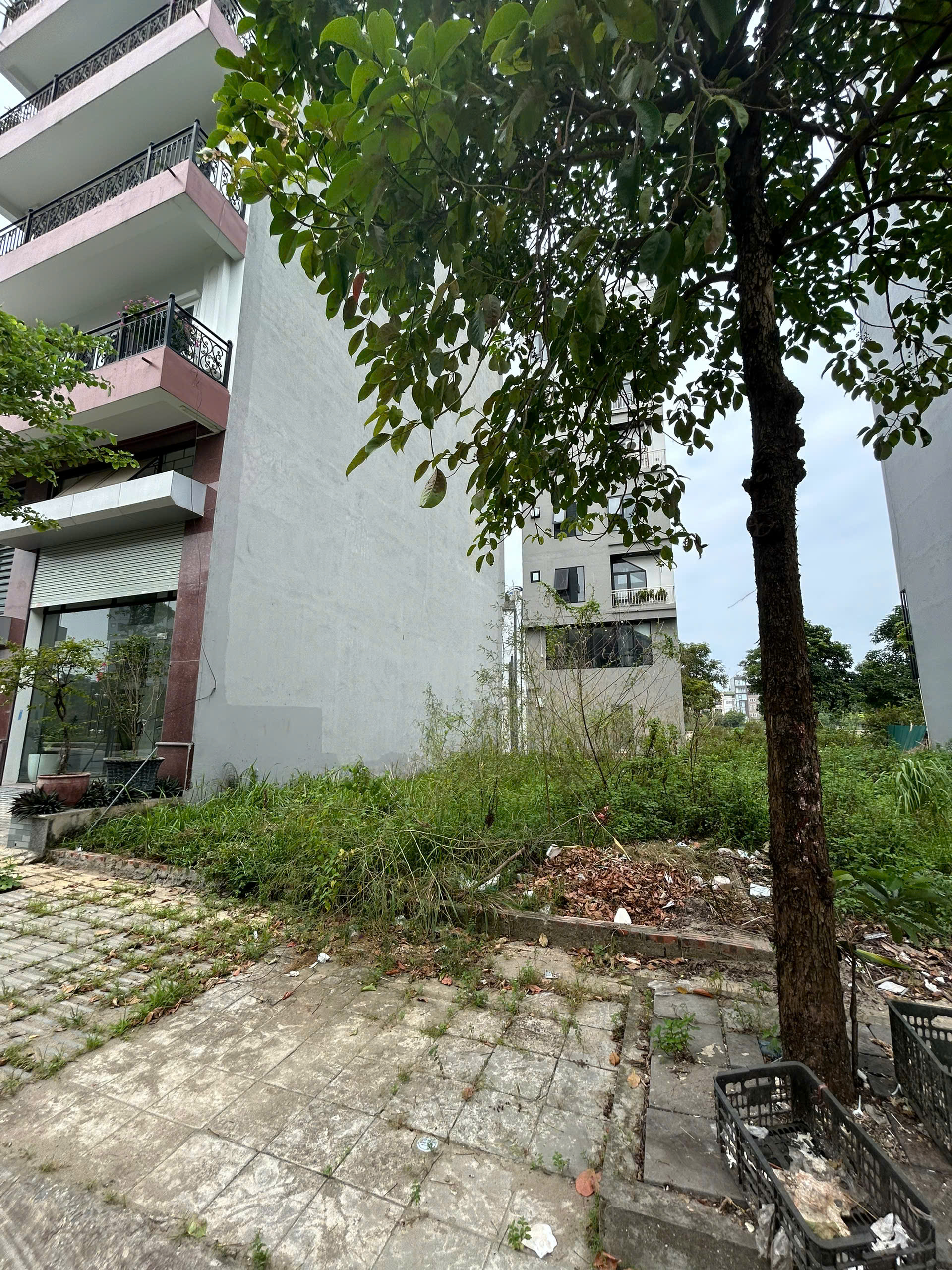 z7194179859969_cbe3d845404d068a39f08fbdc4fe750f