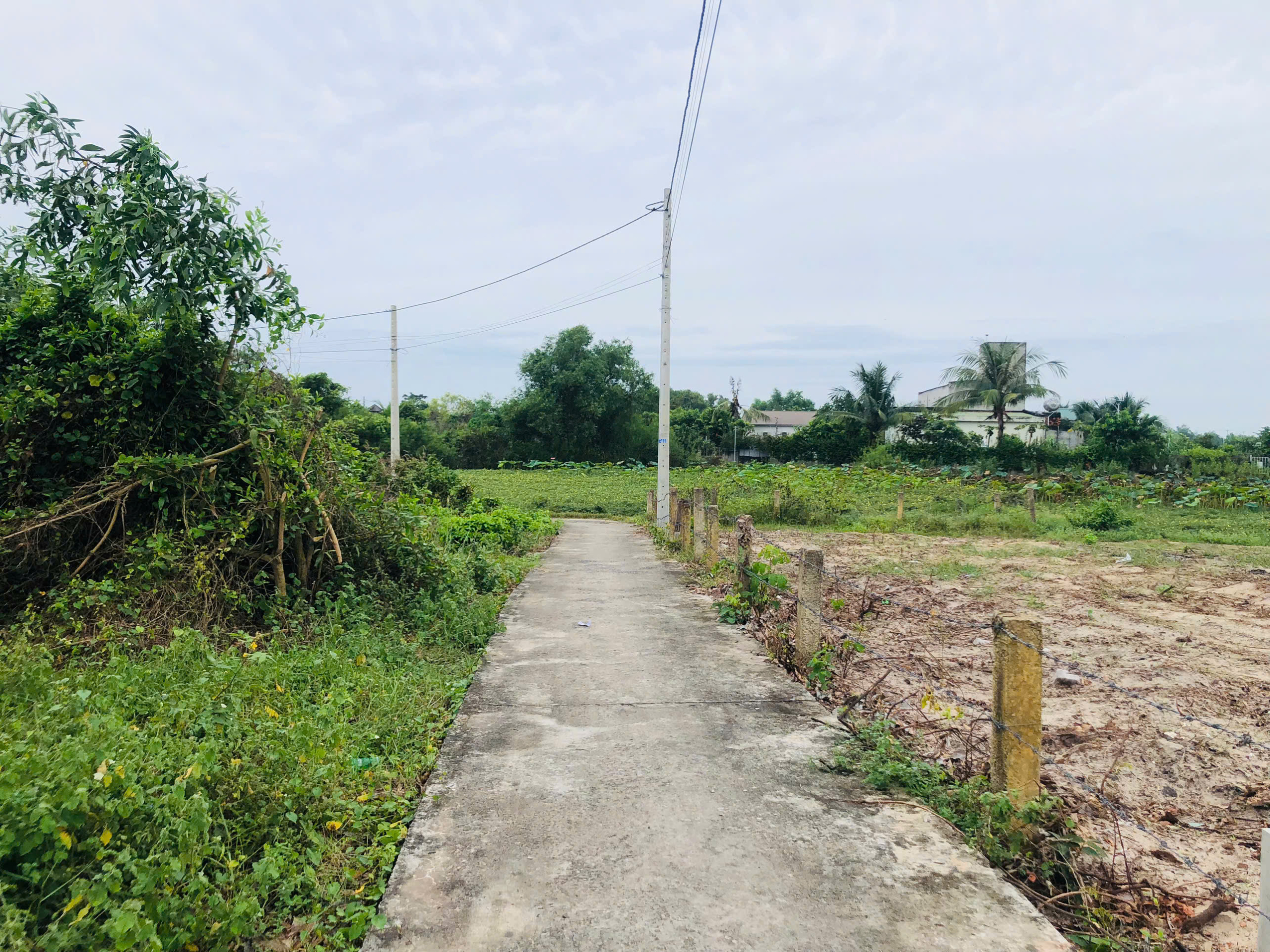 z7194289656038_9df179cff0cabeef6017ea9782355894