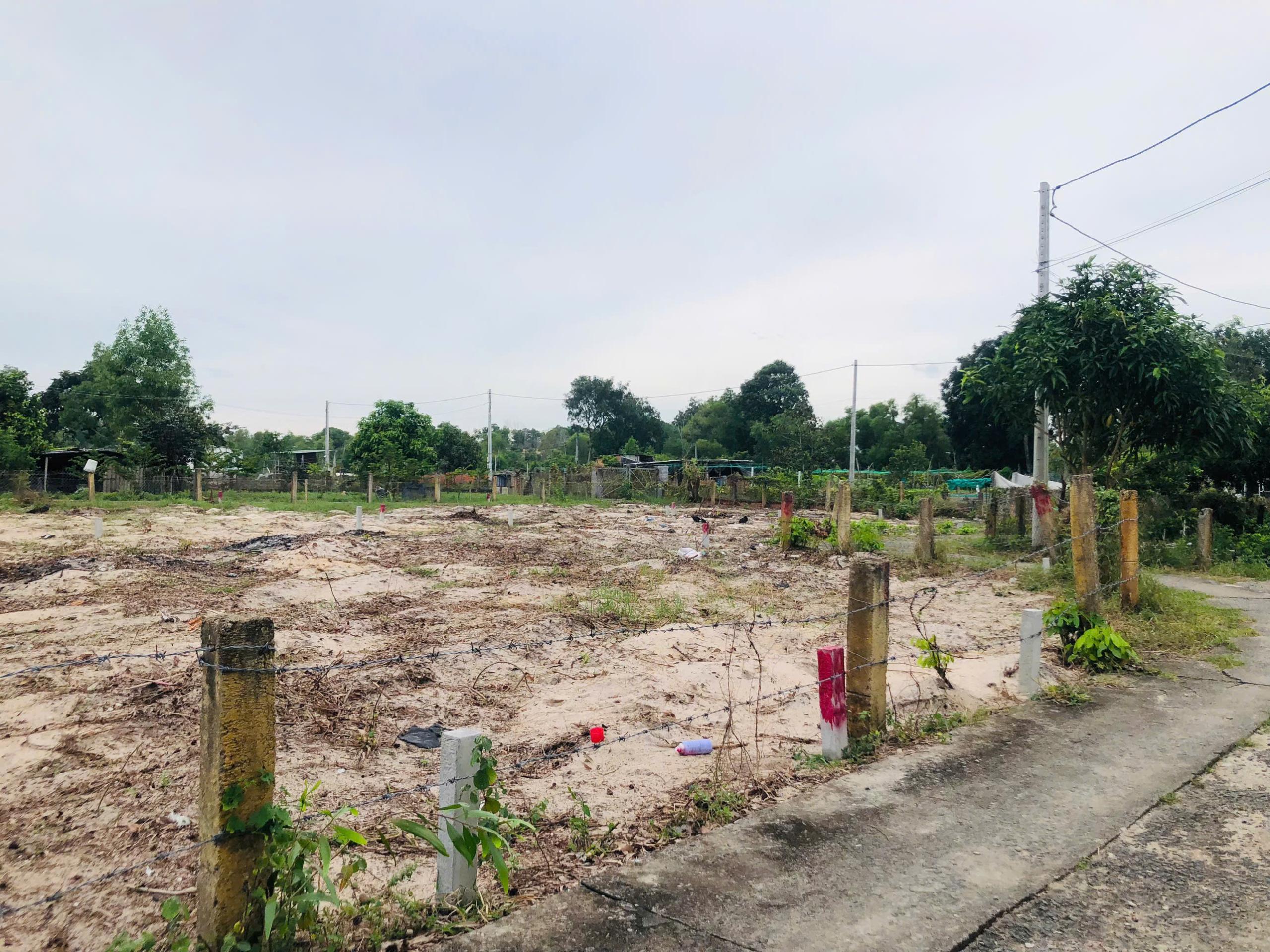 z7194289663817_6b553167d308f6b7a451b0c6080f946f