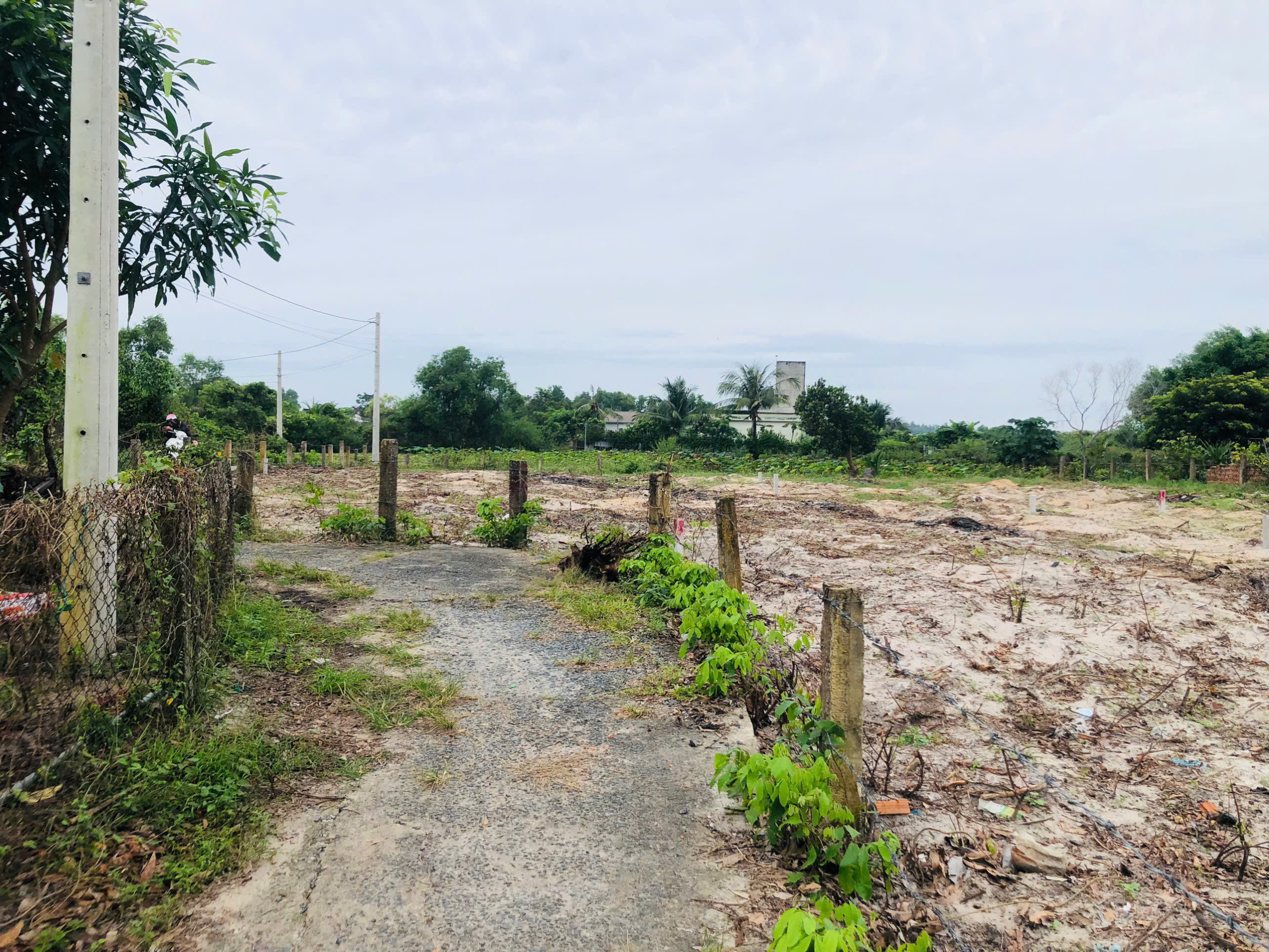 z7194289691640_ac25870cc4a930f6dd98d6577907f537