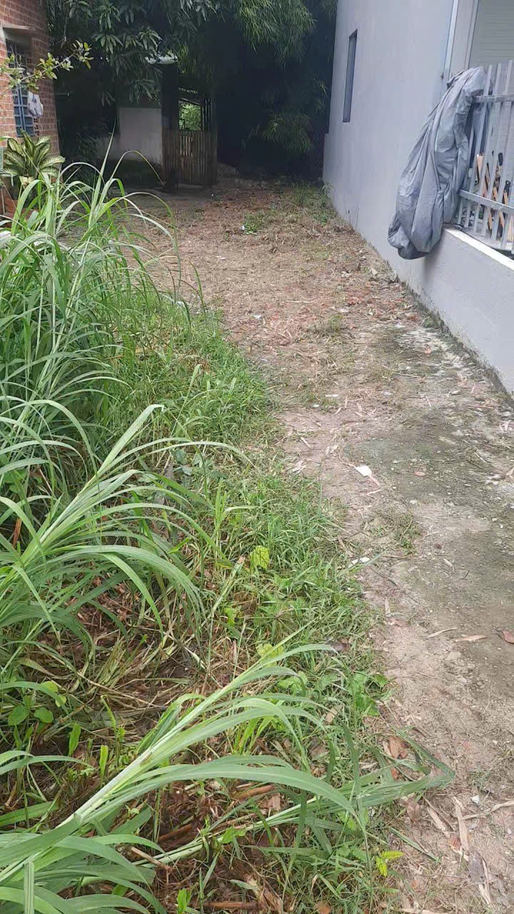 z7194359652351_8490bbf0f3604257776aa98588b6498f