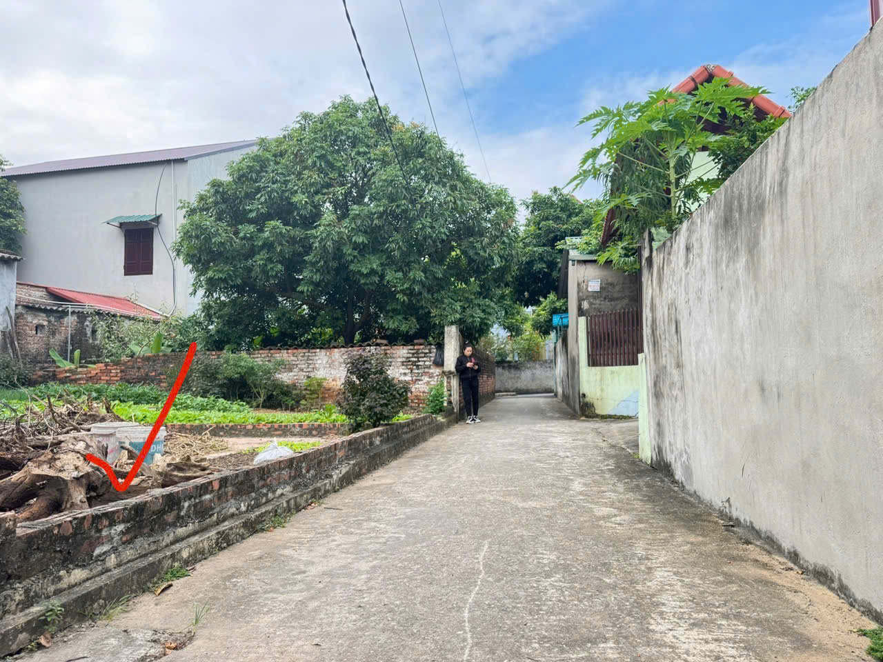 z7195187577474_06a0185dbaf2217768d39c6778f98c53