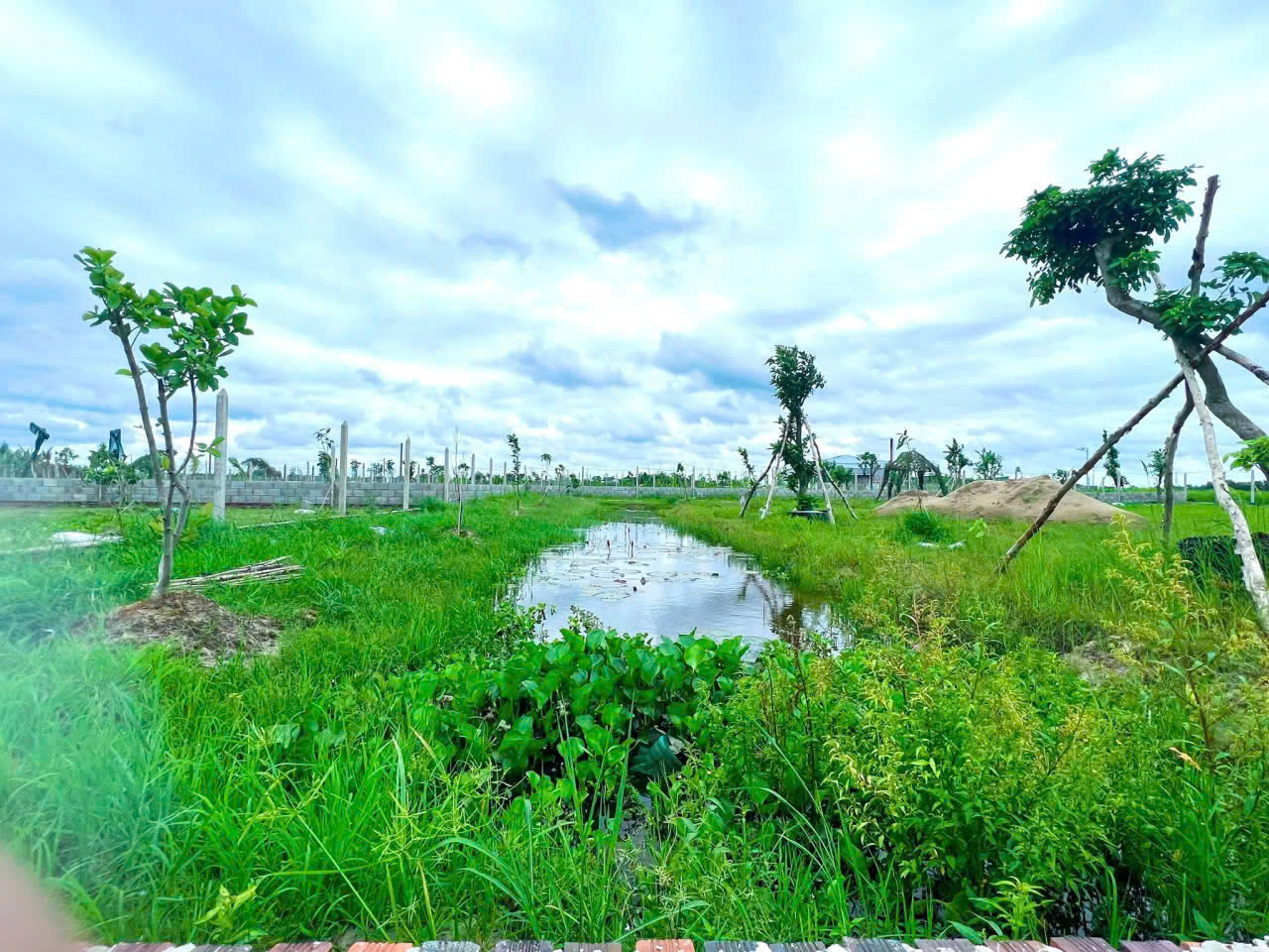 z7195264336776_e4de76ba9de7b63a38f9e54bc5cca52b