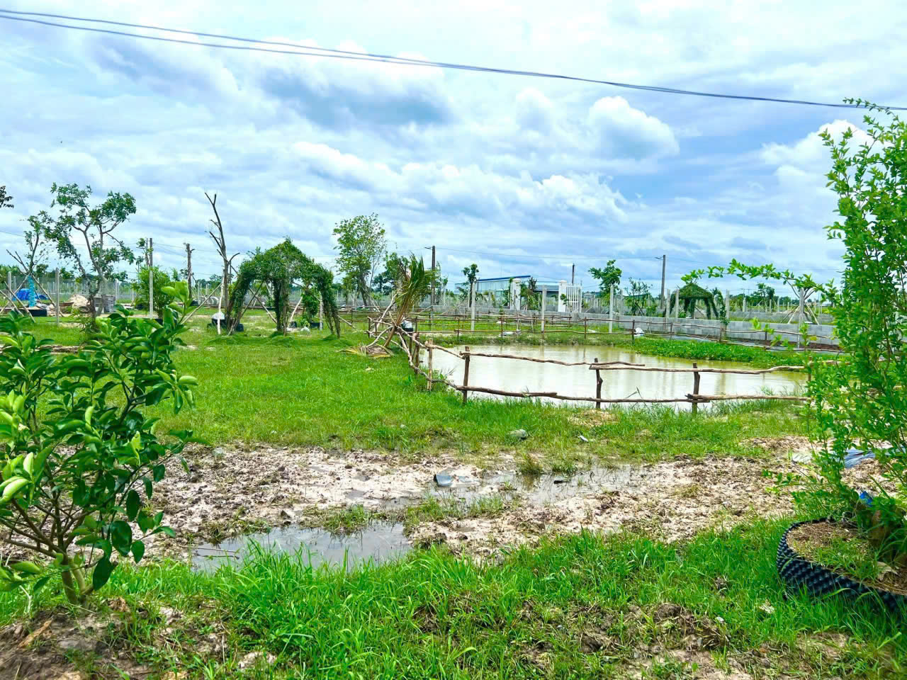 z7195264454718_1834224eec290bc5bb55333fe4b3a610