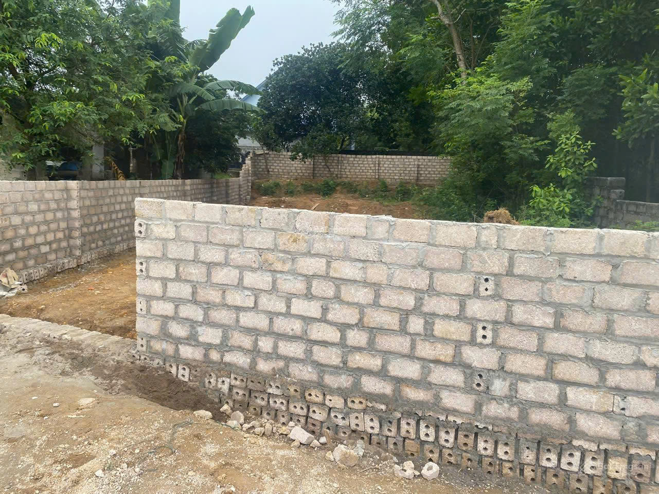 z7195367708703_39e18356ebc3f147b7424ca288c693e8